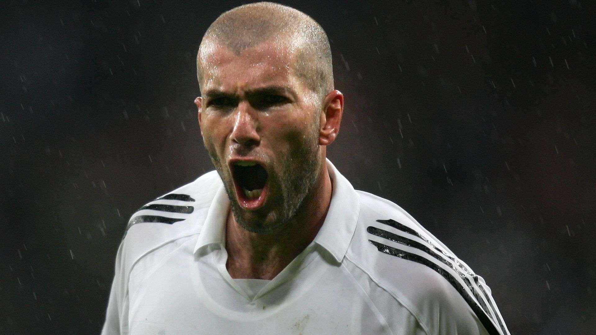 级别的联赛 级别的联赛